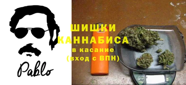 шишки Дмитровск