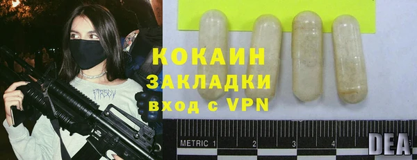 шишки Дмитровск