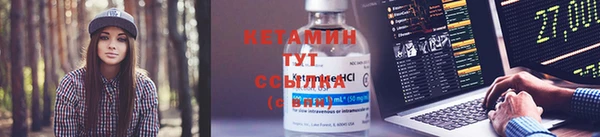 шишки Дмитровск
