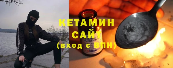 шишки Дмитровск