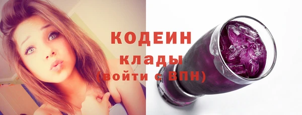 шишки Дмитровск
