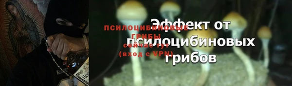 шишки Дмитровск