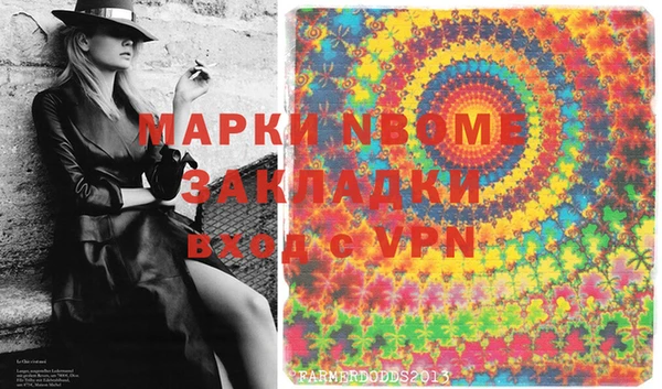 шишки Дмитровск