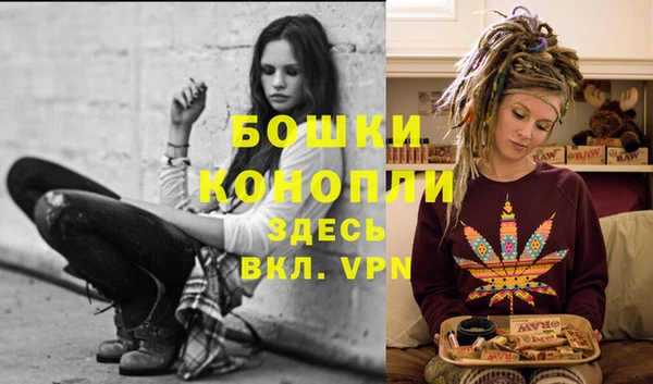 шишки Дмитровск