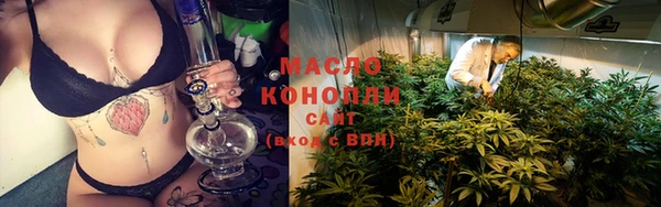 шишки Дмитровск