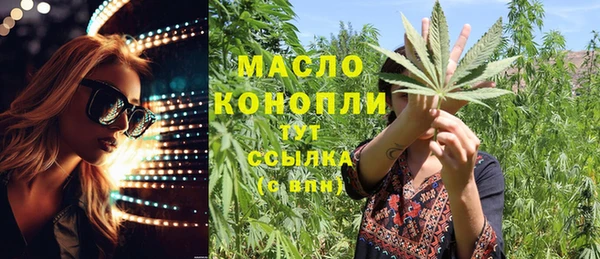 шишки Дмитровск