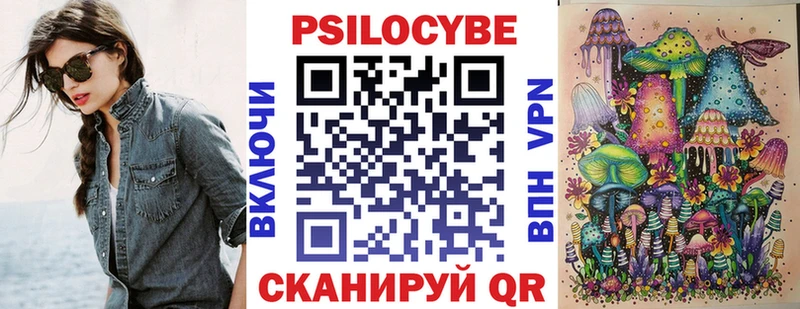 Купить где  Фатеж  Псилоцибиновые грибы Psilocybe 